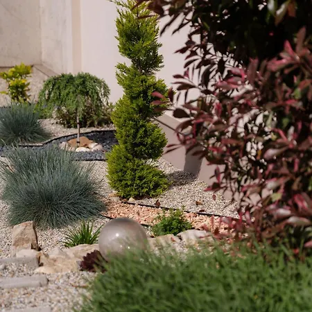 Bed & Breakfast Tofi